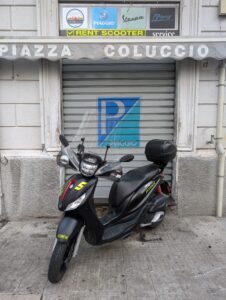 PXL 20240910 053235552 MP  226x300